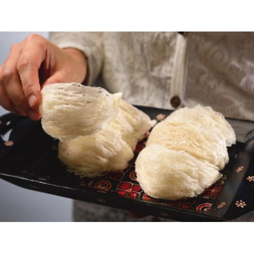 Yến Sào – Món Quà Kỳ Diệu Từ Thiên Nhiên